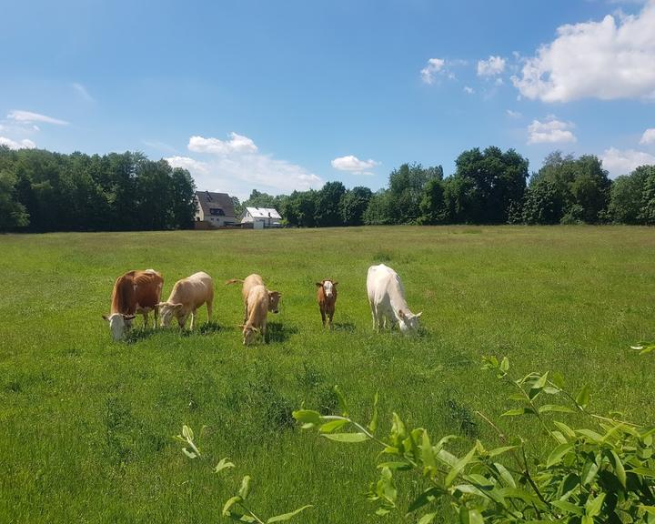 Landgasthof Niederpleiser Muehle